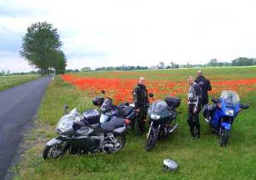 Gruppenbild Mohnfeld im Flming