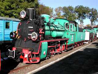 Lok im Museum der Schmalspurbahn in Gryfice