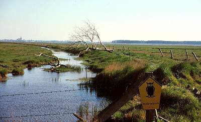 Landschaft um Kirr